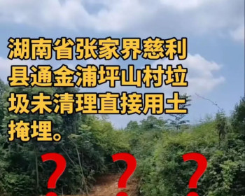 慈利县坪山村“垃圾掩埋”真相：既非天坑溶洞，也非临时掩埋