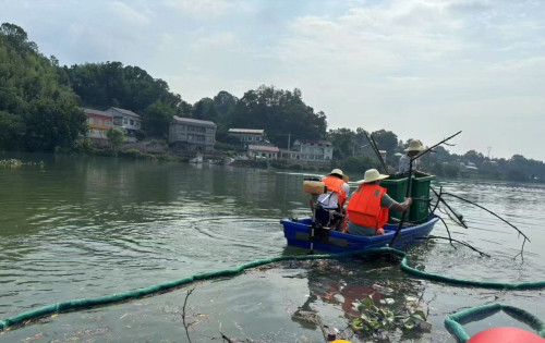 江垭镇教场坪村开展河道垃圾清理，用行动守护“水清岸绿”