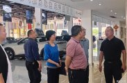 深耕本土显担当，名立汽车大市场迎来县工商联调研