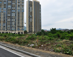 双安社区江山壹号项目地拆除了围栏，吸引不少人前来开荒种菜