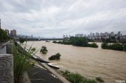 7月3日上午，看到澧水小涨了一波