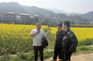 溪口镇扎实开展稻油轮作及油菜生产面积验收工作