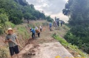 苗市镇苗市社区：干群齐心抢修机耕道，畅通橘乡丰收路