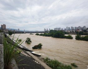 7月3日上午，看到澧水小涨了一波