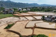 慈利县岩泊渡镇：耕地置换出良田，绘就春耕新画卷