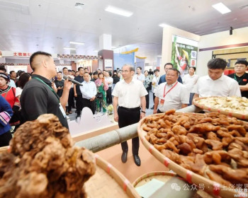 出席第三届张家界旅发会的领导嘉宾对慈利县文旅项目进行观摩考察