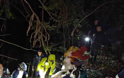 慈利县阳和乡：外地驴友林场探险不慎迷路，政府多方组织连夜救援