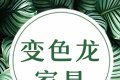 2026年口碑好的胶州家具究竟哪家强？一文为你揭晓答案！