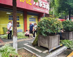 2026年端午节当天，慈利两大菜市场卖艾蒿的人非常多