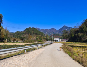 回合堰村摘了半袋橘子，路上又买了一袋，真是收获满满的一天