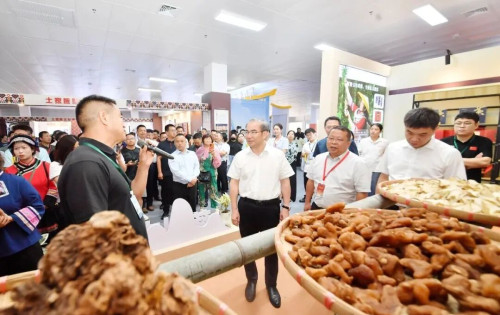 出席第三届张家界旅发会的领导嘉宾对慈利县文旅项目进行观摩考察
