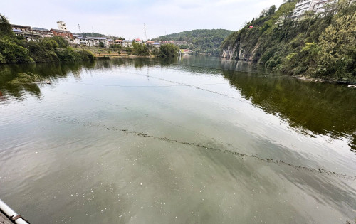 长潭河上游“水污染”疑云：看小黎子拍摄的市场河大桥河水