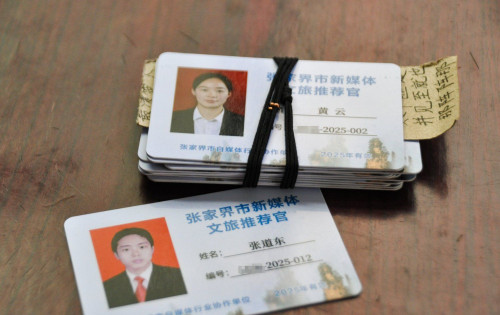 沾网络主播们的光，拿到了“张家界市新媒体文旅推荐官”证