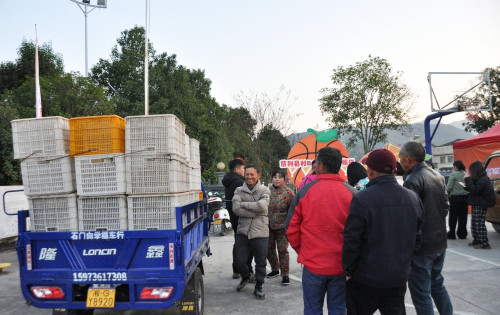 慈利县第二届村BA4X4篮球公开赛暨村播大赛在界溪村拉开帷幕