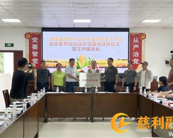 湖南首个旱粮产业体系首席专家工作站落户我县阳凤坪村