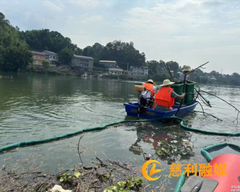 江垭镇教场坪村开展河道垃圾清理，用行动守护“水清岸绿”