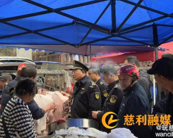 慈利县金岩乡：开展市场肉类专项检查，筑牢乡村食品安全防线