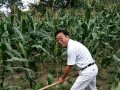 方嘉喜：劳动者组诗