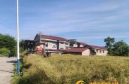 零阳街道两溪村：两百亩油菜成熟在即，对接收割机助农丰收