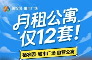 金慈小学后门对面，42-60㎡复式两房公寓，月租低至千元