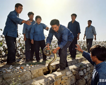 八六年中秋前，柳树下那场精心上演的蛇药戏，骗了乡亲们上万元