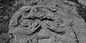 2025年首届镇国将军唐国政暨金夫人后裔慈利县唐氏文化祭典