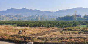 零溪河边茅草堆：开荒用上了挖掘机，果然发展才是硬道理