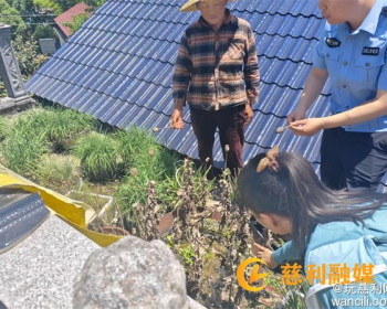 龙潭河镇江星村一农户种植21株毒品原植物罂粟被依法铲除