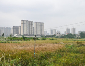 在零阳街道零溪村周边，看到有大片闲置的土地