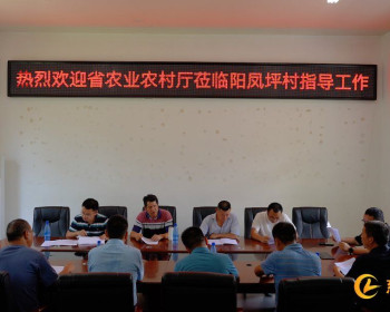 慈利县大豆玉米复合种植模式入选全国高产典型案例