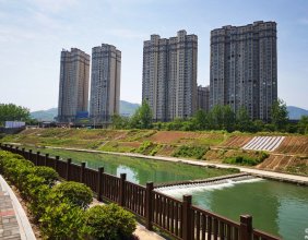 有人说零溪河堤上栽菜不利于防洪，依我看是有点多虑了