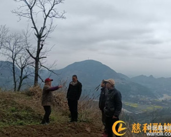 溪口镇同盟村：厘清土地边界，化解邻里矛盾