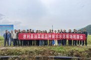 慈利县举行2025-2026年油菜新品种展示示范现场观摩会
