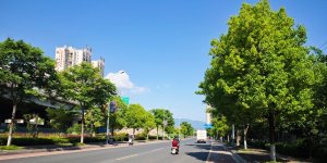 金慈小学到慈利一中那条路终于取名了，名字叫做能宽路