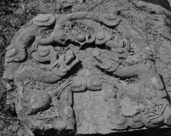 2025年首届镇国将军唐国政暨金夫人后裔慈利县唐氏文化祭典