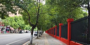 路过金慈小学，发现暑假期间新修的院墙已经完工了