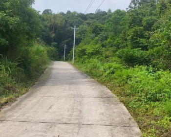 金慈街道团溪村组织开展道路清淤砍青志愿服务活动