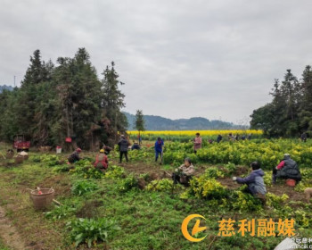 溪口镇渡坦村：春耕生产忙起来，安全防线筑起来