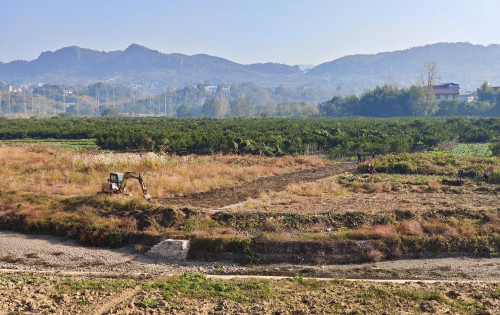 零溪河边茅草堆：开荒用上了挖掘机，果然发展才是硬道理