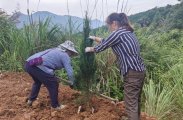 立行立改修复“生态创伤”，慈利县全域排查守护绿水青山