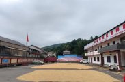 杨柳铺社区开放院内场地，方便群众集中晾晒秋收农作物
