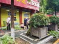 2026年端午节当天，慈利两大菜市场卖艾蒿的人非常多