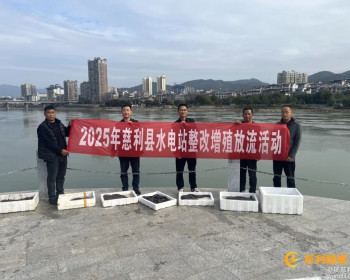 慈利县畜牧水产事务中心在溇澧水域交汇处投放2000尾娃娃鱼