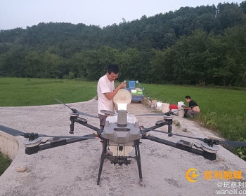 高桥镇先锋村：无人机“飞防”精准施药，科技赋能筑牢丰粮屏障