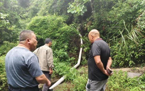 洪峰过后护清流：通津铺镇农综人双线作战攻坚养殖污染整治