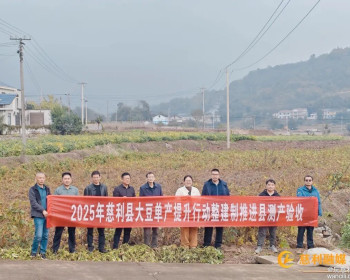 慈利县开展大豆测产验收，“冬大豆”净作田平均亩产达145公斤