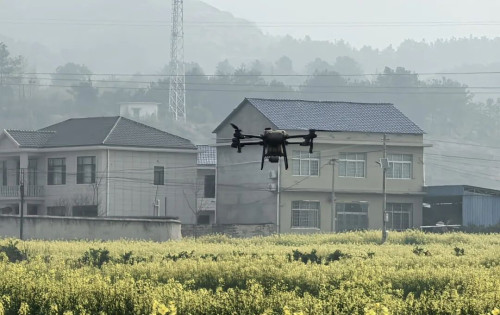 零溪镇：抢抓花期田管，油菜“一促四防”保丰产