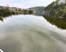 长潭河上游“水污染”疑云：看小黎子拍摄的市场河大桥河水