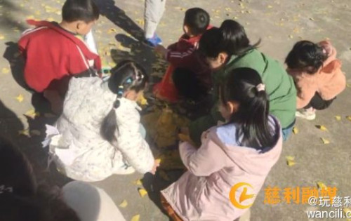 南山坪乡中学：把秋天戴在头上！银杏树下解锁落叶魔法帽