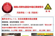 蘑菇千万别乱吃：湖南6月野生蘑菇图谱及中毒红黄绿警示